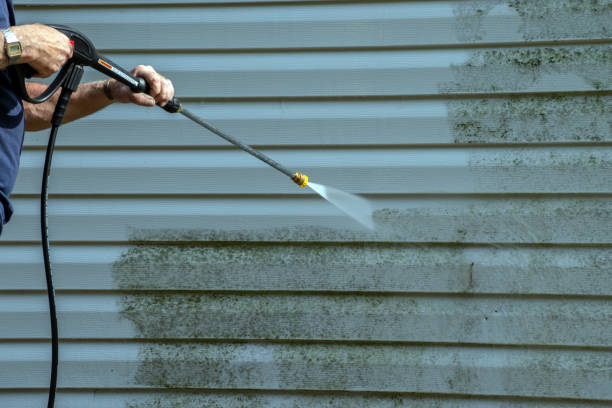 Best Roof Pressure Washing  in Alliance, OH